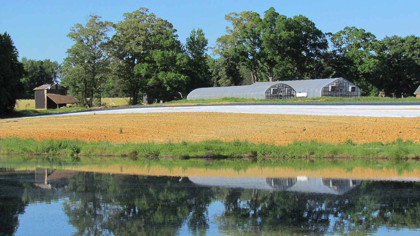 Smith Farms pond, greenhouse, and field
